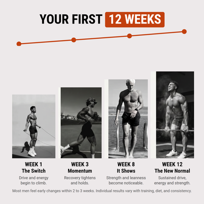 Your first 12 weeks