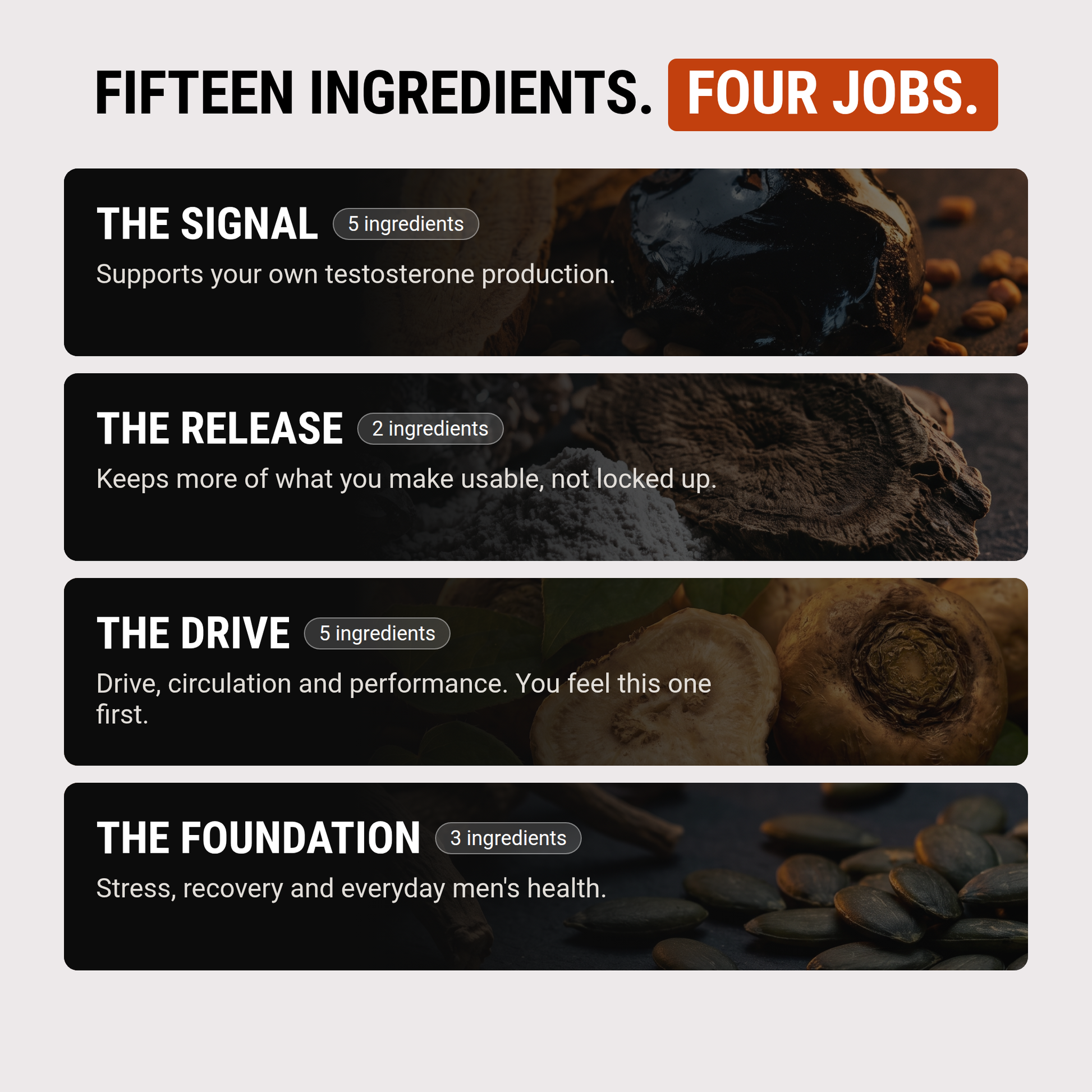 Fifteen ingredients, four jobs